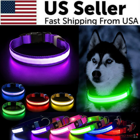 Zavelle Waterproof LED Collar